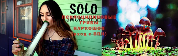 гидра Алексеевка