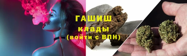 метадон Алексин