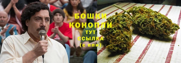 гидра Алексеевка